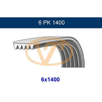 Express Alternatör Kayışı 6PK1400 1997 - 2001 Arası Gmb