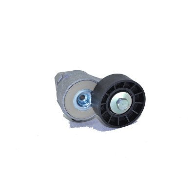 Ducato Alternatör Kayışı Gergi Bilyası 2001 - 2006 Arası Orijinal 504086751